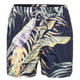 JJIBALI JJSWIMSHORTS AKM...