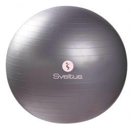 GYMBALL DIAM : 65 CM