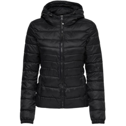 ONLTAHOE HOOD JACKET OTW NOOS