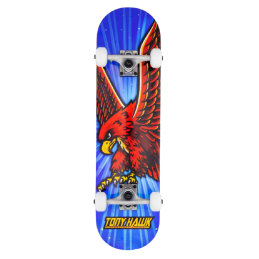 TONY HAWK SS 180 COMPLETE...