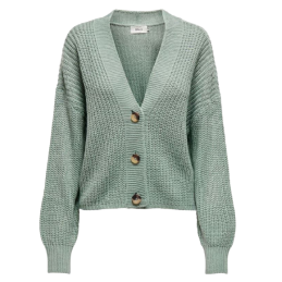 ONLCAROLSPRING L/S CARDIGAN...