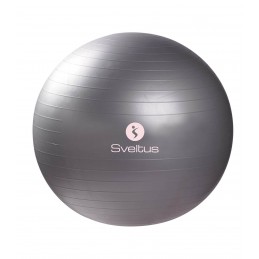 GYMBALL DIAM : 65 CM