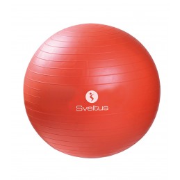 GYMBALL DIAM : 55 CM