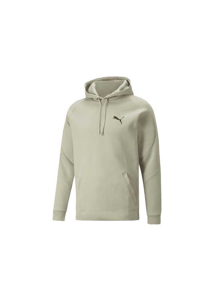 achat Sweat à capuche Puma Homme FD DAY IN MTION HDY DK face