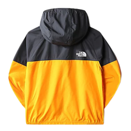 achat Veste The North Face Enfant B NEVER STOP HOODED WIND dos