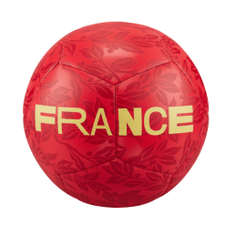 achat Ballon de football Nike France Pitch face
