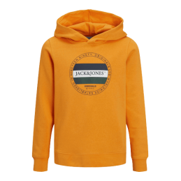 achat Sweat à capuche Jack and Jones garçon JORCODYY Jaune