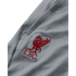 achat Pantalon d'entraînement Strike Liverpool FC 2022-2023 Enfant logo