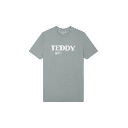 achat T-shirt Teddy Smith homme FINN gris face