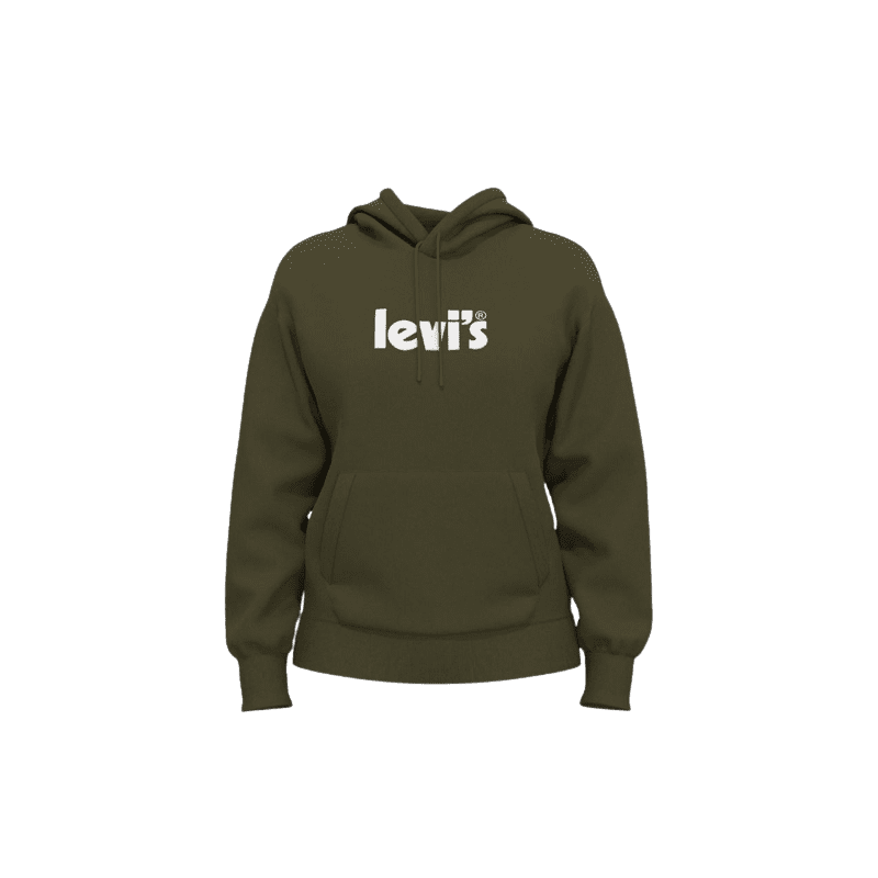 achat Sweat à Capuche LEVIS Femme GRAPHIC STANDARD vert face