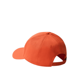 achat CASQUETTE THE NORTH FACE HOMME RECYCLED 66 CLASSIC ORANGE  arrière