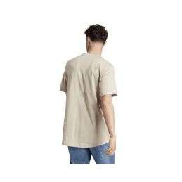 Achat T-shirt Adidas M ALL SZN T beige homme dos