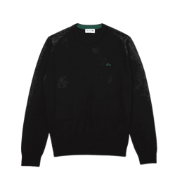 Pull col rond homme Lacoste en jersey