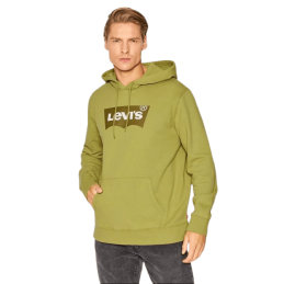 achat Sweat à capuche LEVIS homme STANDARD GRAPHIC vert porté