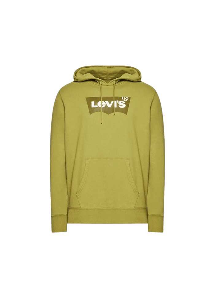 achat Sweat à capuche LEVIS homme STANDARD GRAPHIC vert face