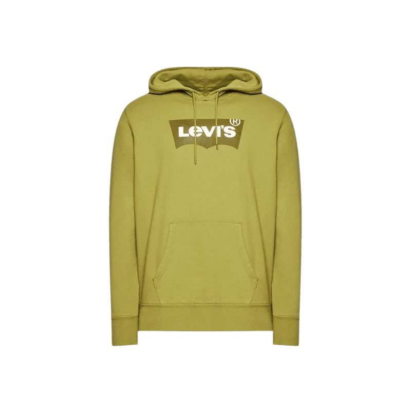 achat Sweat à capuche LEVIS homme STANDARD GRAPHIC vert face