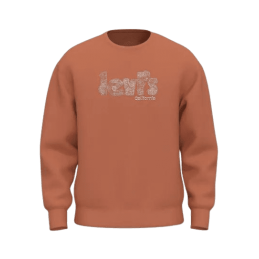 achat Sweat LEVIS homme RELAXD GRAPHIC CREW orange face