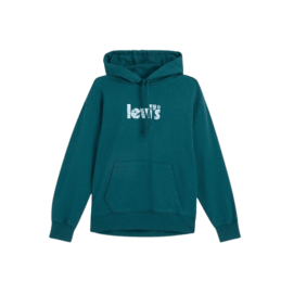 achat Sweat à capuche LEVIS femme GRAPHIC STANDARD vert face