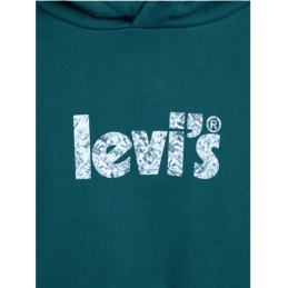 achat Sweat à capuche LEVIS femme GRAPHIC STANDARD vert logo