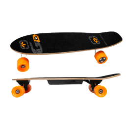 SKATE ELECTRIQUE